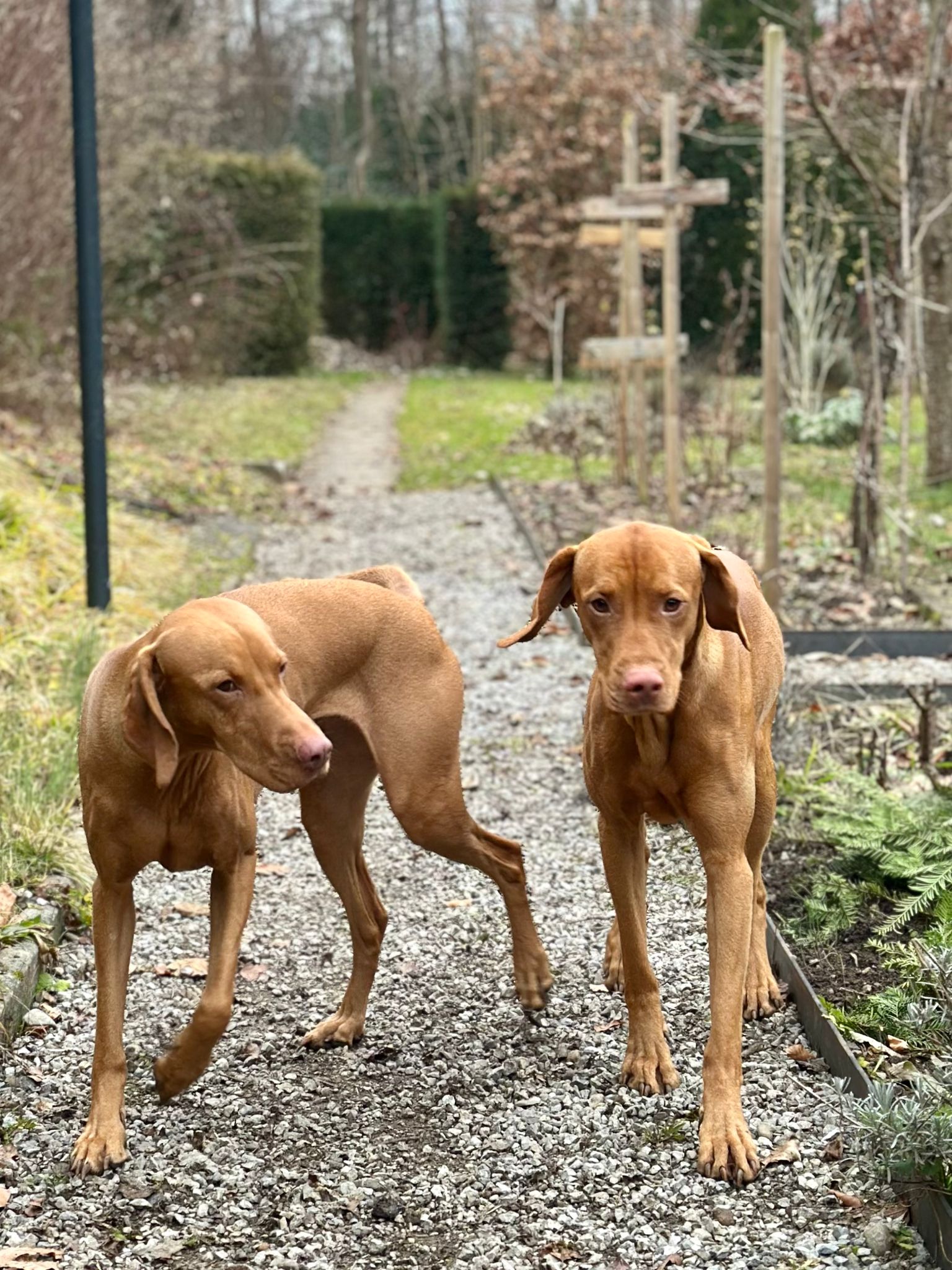 7c285c20 a326 4207 b22a bbb2ff7d6ea2