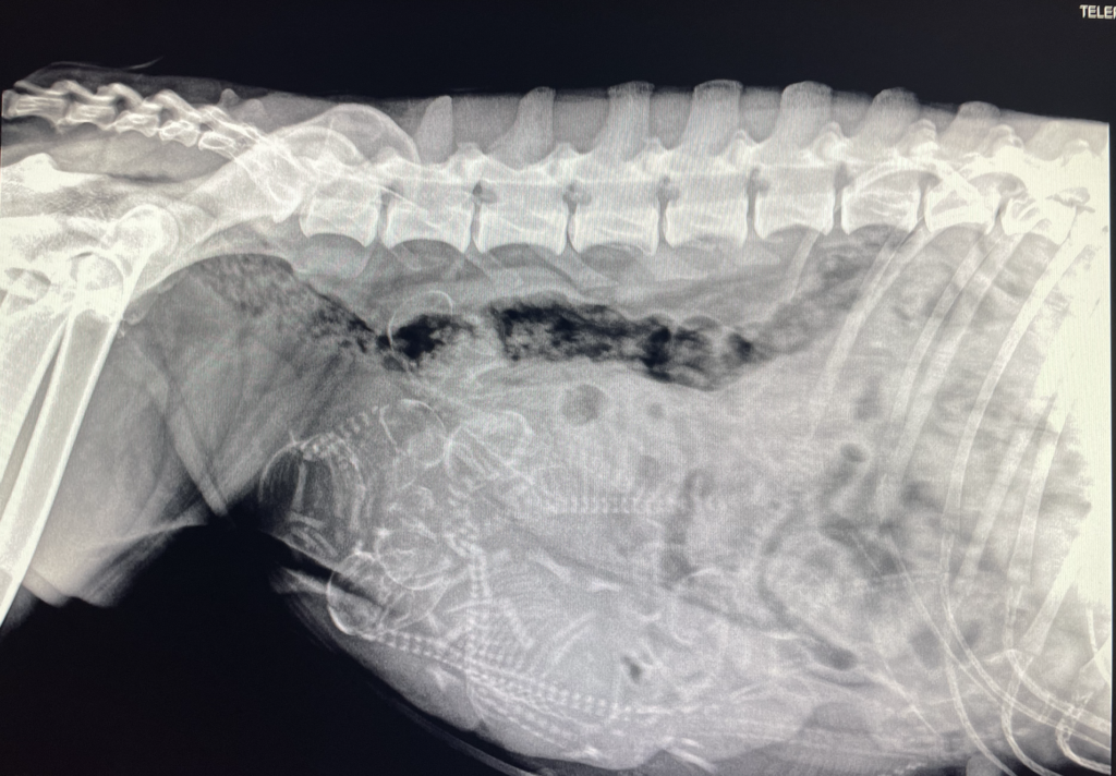 bildschirmfoto 2026 02 22 um 09.48.17