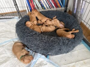 img 0579